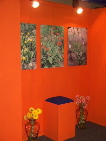 Gardenex 2005