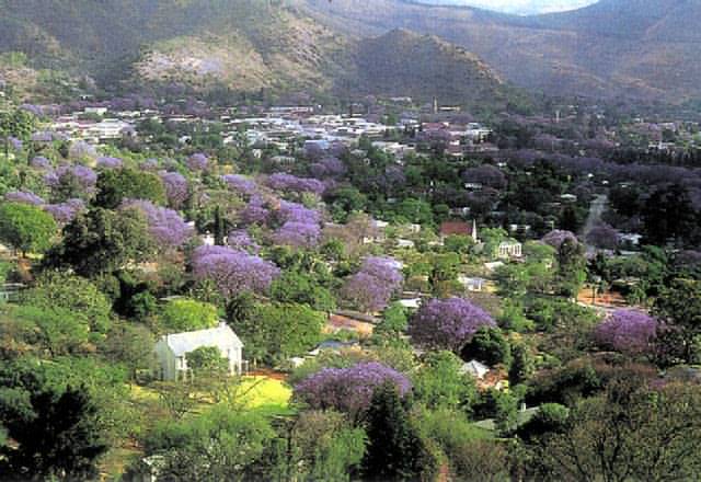 Jacaranda town