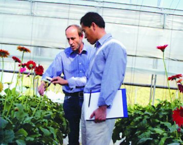 Flower Breeding Research Institute - Korea