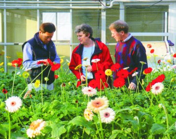 Flower Breeding Research Institute - Korea