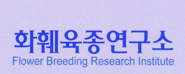 Flower Breeding Research Institute - Korea