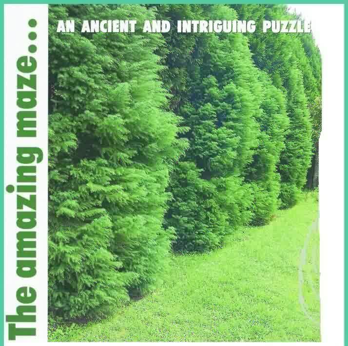The Gardener - Labyrinths & Mazes