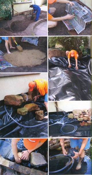 Pond construction