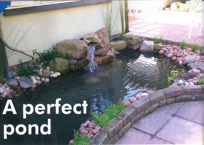 The Gardener - Pond