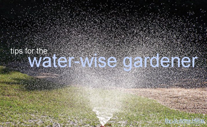 Waterwise