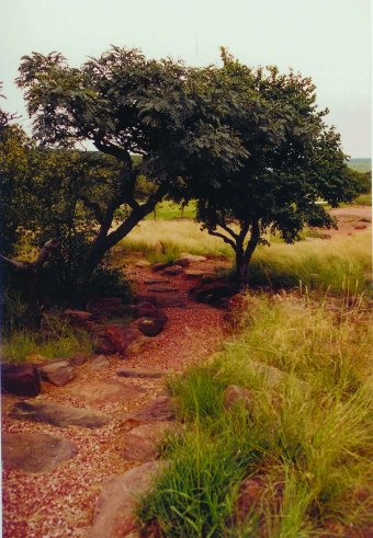 Lengau