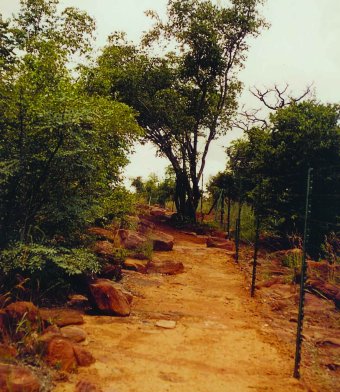 Lengau