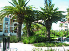 Island Club - Cape Town