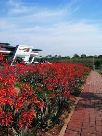 Umhlanga Brands Campus