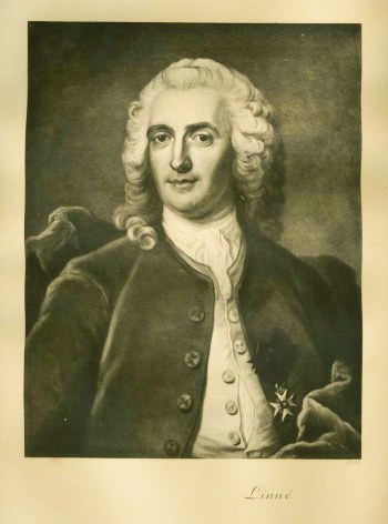 Carl von Linne